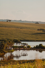 lakes in the countryside