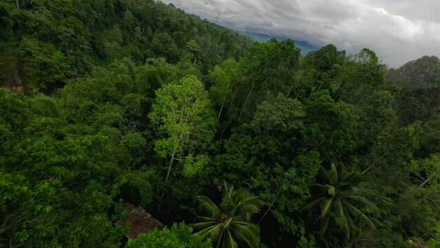 Tropical island waterfall speed water river fall stream stones vegetation rainforest mountain valley aerial view. FPV sport drone shot exotic jungle cascade fern greenery woodland cliff creek pool 4k