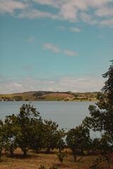 view of the lake in the middle of the plantation