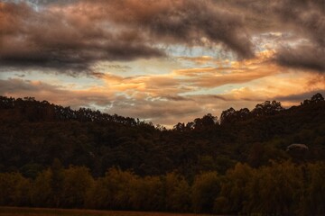 Diferentes fotografías del espacio publico, naturaleza y demás zonas al aire libre.