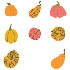 Pumpkins set.