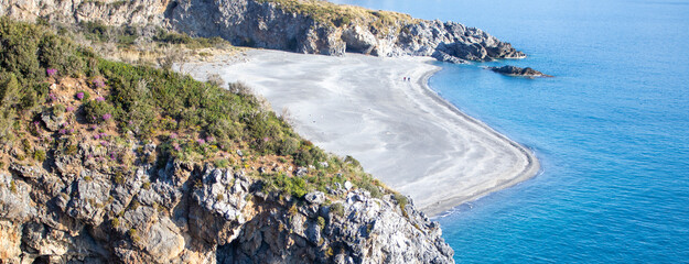 Tropical Paradise Beach. Sun on Tropical Paradise Beach. Paradise Beach with Turquoise Water and Tropical Palms. Summer