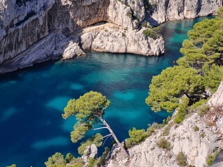 Naklejka premium CALANCHI DI MARSIGLIA, PROVENZA CALANQUES DE MARSEILLE, PROVENCE 