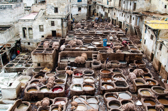 Tanneries in Fez, Morocco, Africa