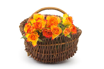 Fototapeta na wymiar roses in a basket