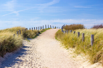 Path trough the dunes, Zoutelande, the Netherlands