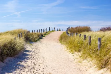 Papier Peint photo Mer du Nord, Pays-Bas Path trough the dunes, Zoutelande, the Netherlands