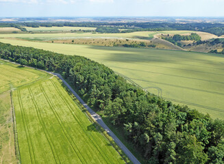 Aerial view of Monk's down, Wiltshire