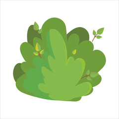 Green bush. A plant for the garden. Forest. Vector illustration isolated on white background.