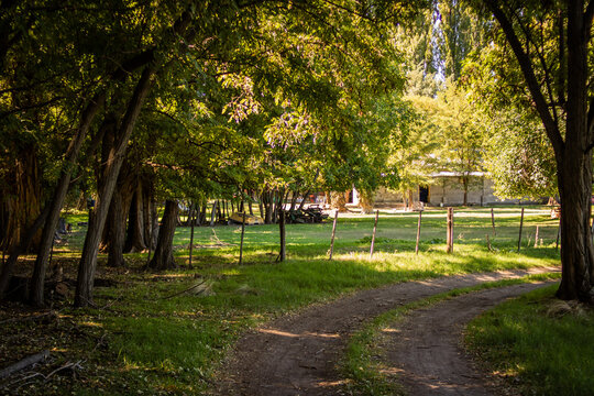 Finca / arbolesda /chacra / estancia