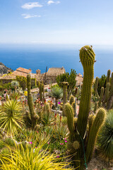 Jardin Exotique d'Eze avec ses plantes succulentes et sa vue plongeante sur la mer