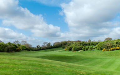 Fototapeta premium Westwood public parkland shared by golfers flanked by trees. Beverley, UK.