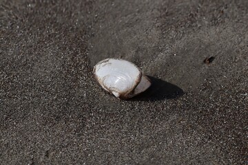 RemasterDirector_18da6b0cf