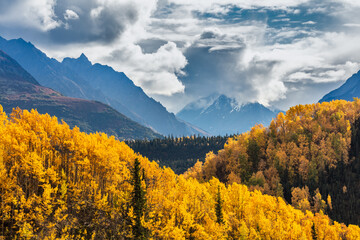 Mountain landscape in autumn colors, Alaska USA