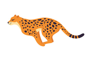 Running Leopard as Wild Cat with Long Spotted Body Vector Illustration