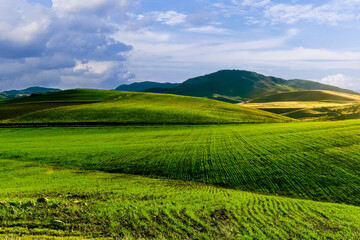 Obraz premium Scenic view at beautiful spring sunset in a green shiny field with green grass and golden sun rays, deep blue cloudy sky on a background , forest and country road, summer valley landscape