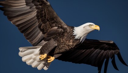 Bald eagle flying , ai, ai generative, illustration