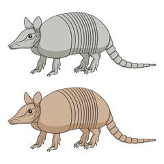 Set of color illustration with an armadillo. Isolated vector objects on white background.