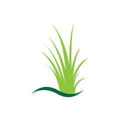 Green grass. Spring. Gazon. Vector icon. web version.
