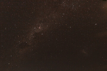 Fototapeta premium forest at night