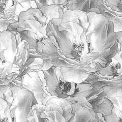 White seamless pattern with tulips flowers. Floral monochrome background