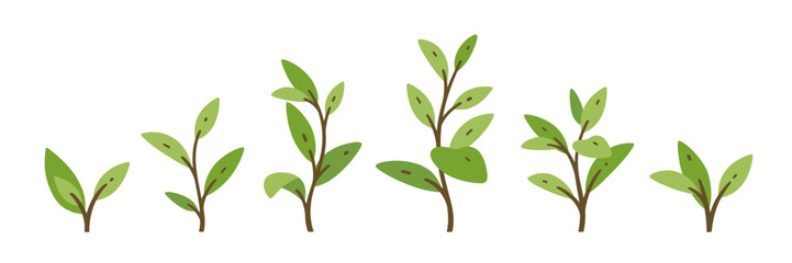 Set of grass sprig. Flat vector illustration.