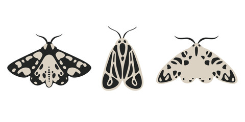 Different type of moth. Contour vector illustration with butterfly for prints, clothing, packaging, stickers, logo, emblem.