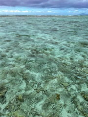 Fototapeta premium Clear sea surface with stony underwater 