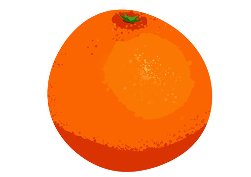 Blood orange illustration isolated on a transparent background