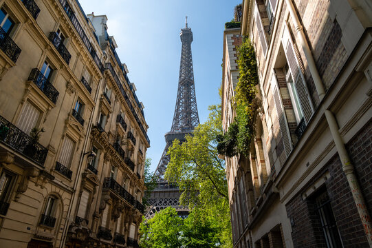 The Eiffel Tower view between palaces in Rue de l'Universite street, 7th arrondissement, Paris, France