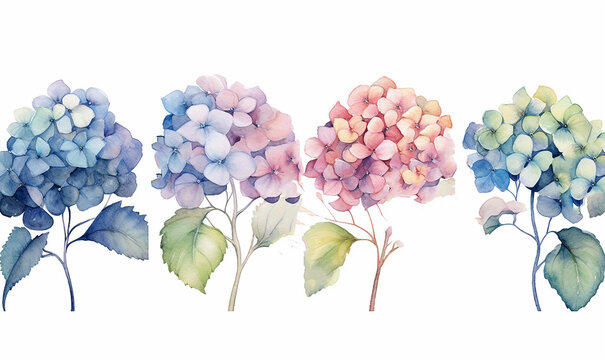 illustrazione di set di ortensie in stile acquerello scontornabile, su sfondo bianco creata con intelligenza artificiale