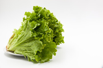 Green lettuce with beautiful juicy leaves on a plate