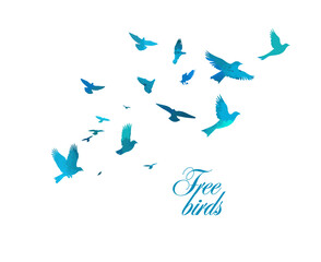 A flock of blue watercolor flying birds. Free birds abstraction Vector illustration