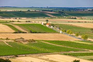 Fototapeta na wymiar landscape with vineyards near Retz, Lower Austria, Austria