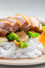baked duck breast with vegetables and rice noodles