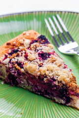 a piece of blueberry cake