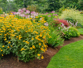 Perennial flower bed with a variegated heliopsis in the foreground.