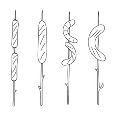 Doodle twigs with sausages for a Campfire. Summer hike, Camping, picnic Food. Isolated hand drawn illustration