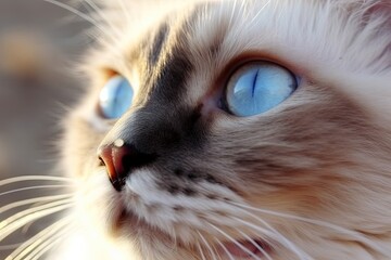 close-up of a cat with striking blue eyes Generative AI