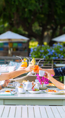 Raise a glass with juice,High angle view of the hands of a group of young adult multi-ethnic male and female friends sitting at a table at home set for Thanksgiving dinner making a toast with glasses 