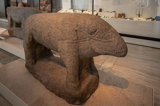 Stone Verraco Pig Pre-Roman monument at National Archaeological Museum - Madrid, Spain