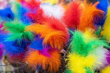 Blue red yellow green and orange feathers.