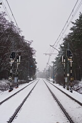 Tory kolejowe za dnia zimą, pokryte śniegiem, widoczna sygnalizacja świetlna oraz linie napięcia, w tle zimowy las