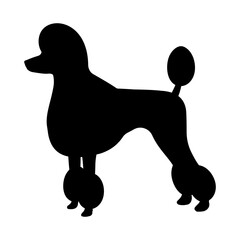 Black silhouette Poodle Dog