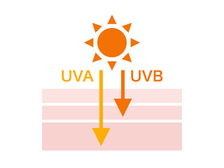 太陽と肌とUVA・UVB矢印イメージ：A