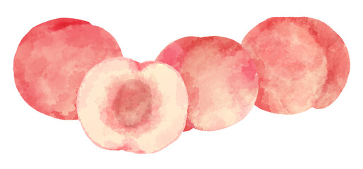 手描き水彩風の桃のイラスト