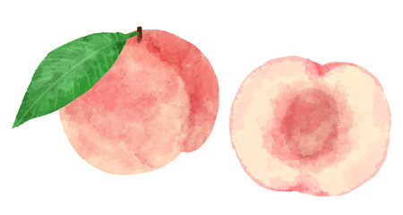 手描き水彩風の桃のイラスト