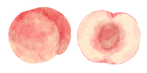手描き水彩風の桃のイラスト