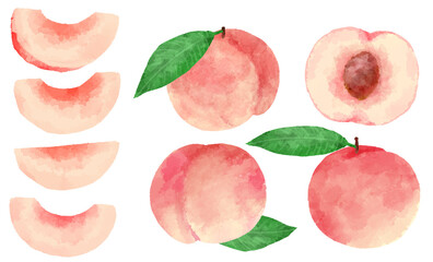 手描き水彩風の桃のイラストセット