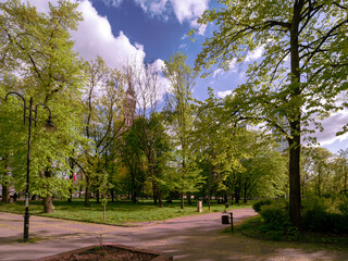 Crossroads for pedestrians in the park, Warsaw. City park near PKiN